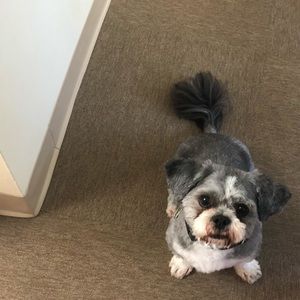 Meet your Posher, Michaela